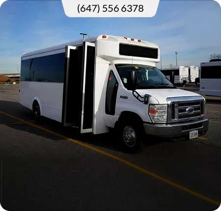 Party Bus 3